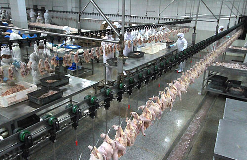 What are the meat processing equipment(图1)