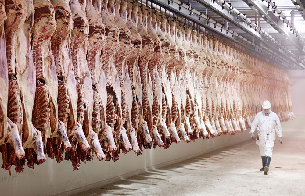 Art of Beef Processing: Mastering the Use of Commercial Beef Cutting Machines(图1)