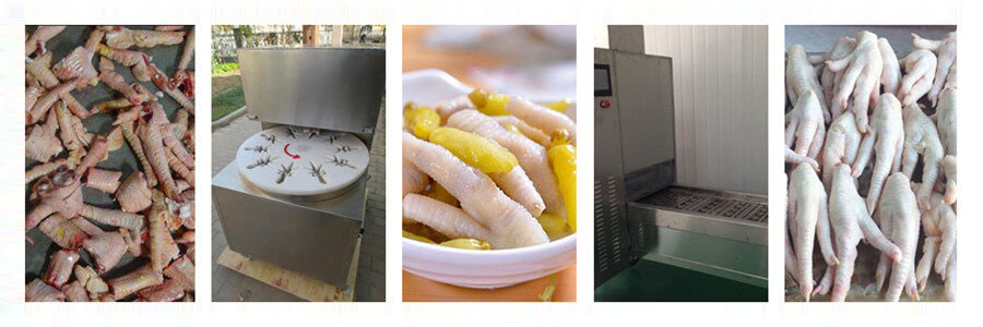Chicken Feet Cutting Machine(图3)