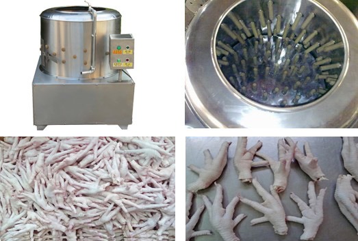 Small Chicken Feet PeelingMachine(图2)