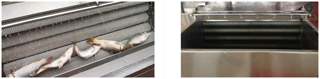 Fish Scaler Machine(图2)