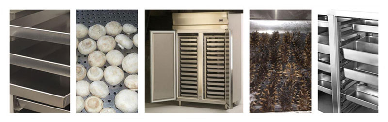 Blast Freezer(图2)