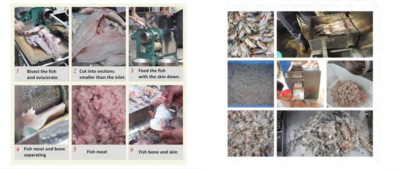 Fish Deboner Machine(图2)