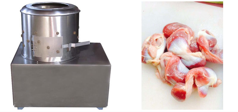Gizzard Defatter(图1)