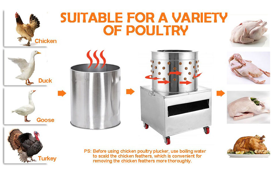 Chicken Plucker Machine(图4)