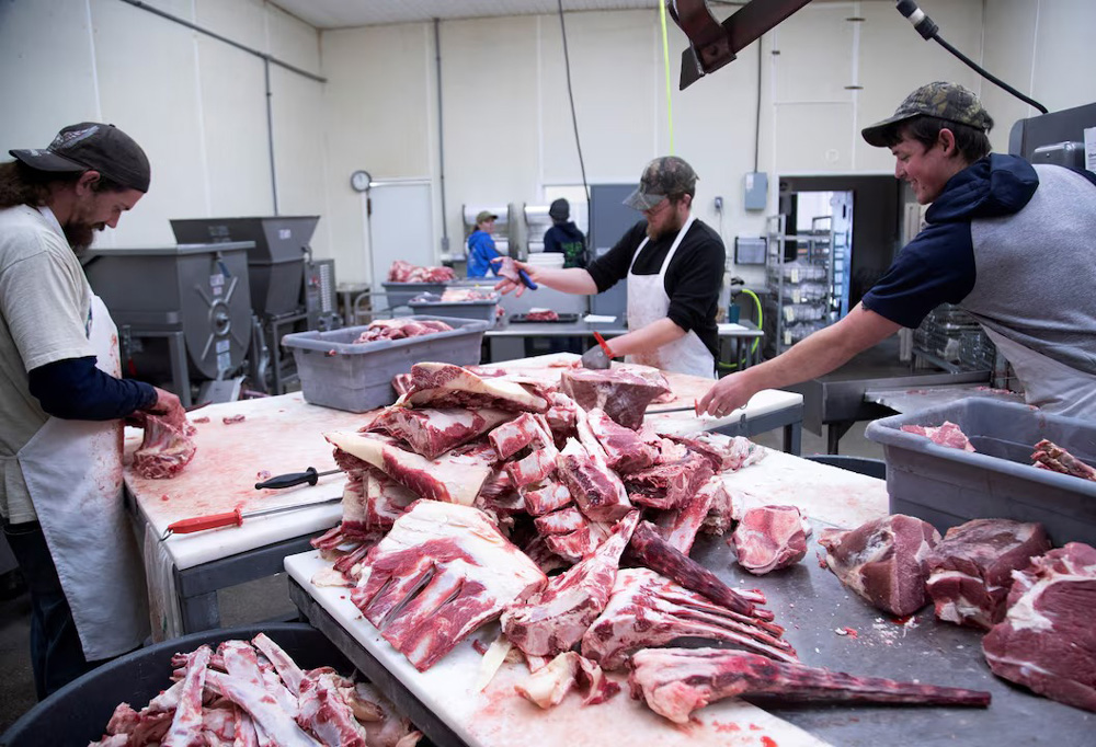 Equipment for Deep Processing of Frozen Meat(图1)