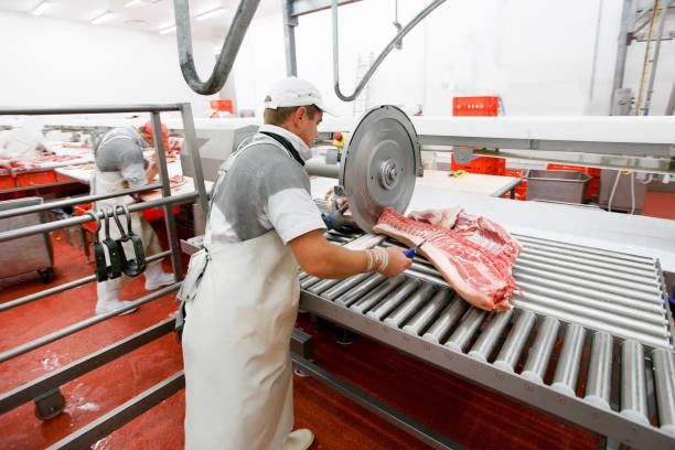 Meat Dicers vs. Meat Grinders: Unpacking the Differences & Smart Pairing Strategies