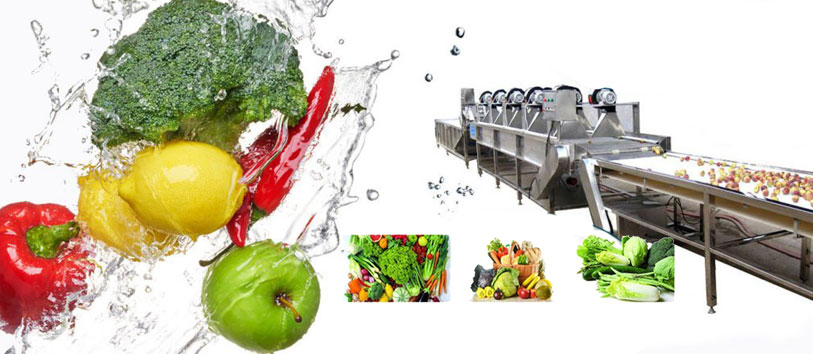 Best Practices for Cleaning and Maintenance of Fruit and Vegetable Processing Lines(图1)