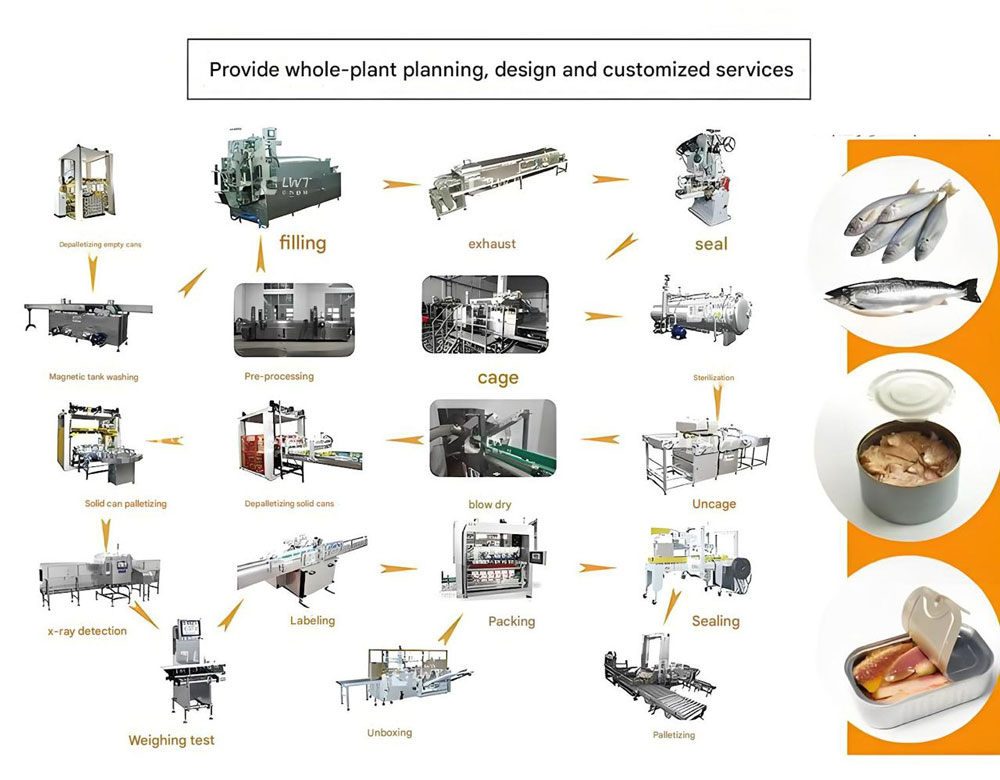 Customized Solutions for Canned Sardine Production Lines