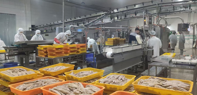 Customized Solutions for Canned Sardine Production Lines(图2)