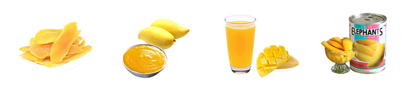 Mango Juice Processing Production Line(图1)