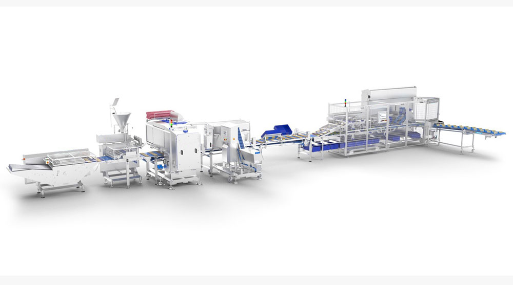 Automated Sandwich Production Lines: Solve Bottlenecks, Reduce Labor Costs, and Scale with Consisten