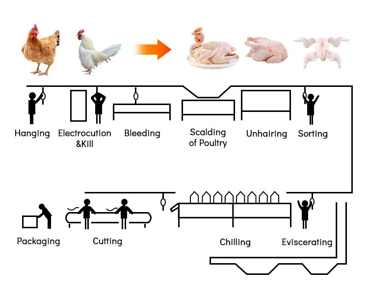 Poultry Processing Line: Automation Upgrade to Build High-Efficiency, Energy-Saving Plants(图1)