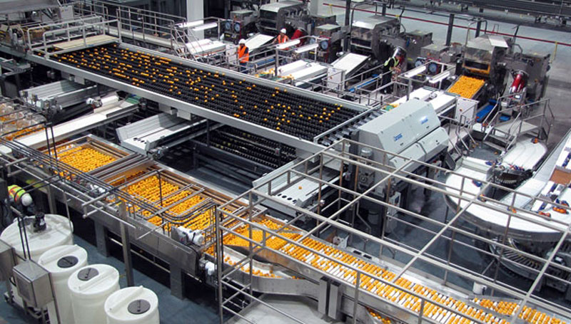 China Commercial Kitchen Equipment Manufacturer: Top 10 Fruit Processing Line Solutions for Modern Food Factories(图2)