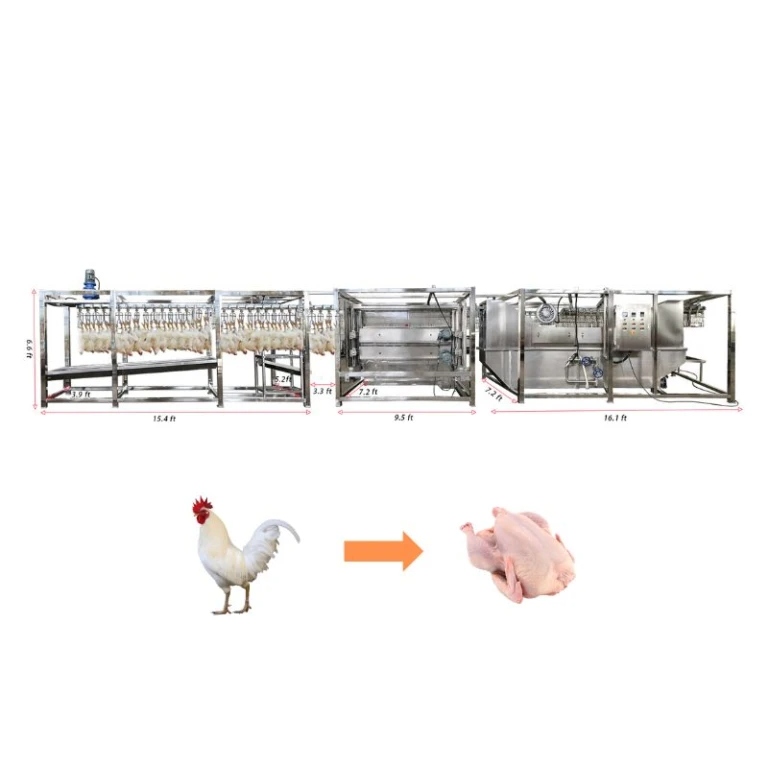 Chicken Production Line