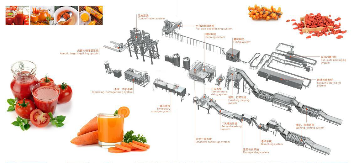 What Buyers Should Prepare Before Purchasing a Tomato Paste Production Line(图1)