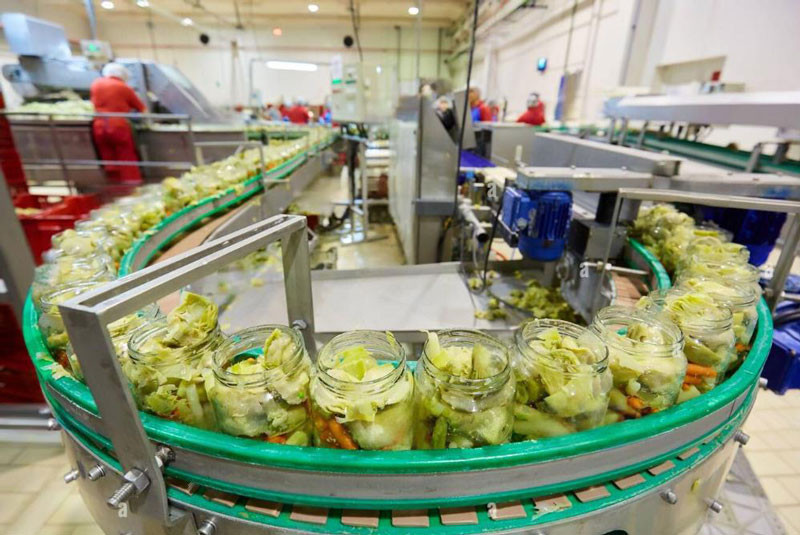 Vegetable Canning Production Line(图1)