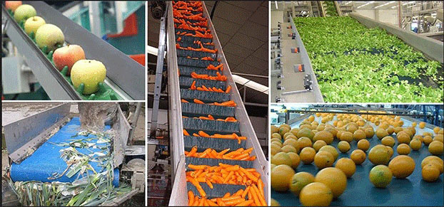 Vegetable Canning Production Line(图2)