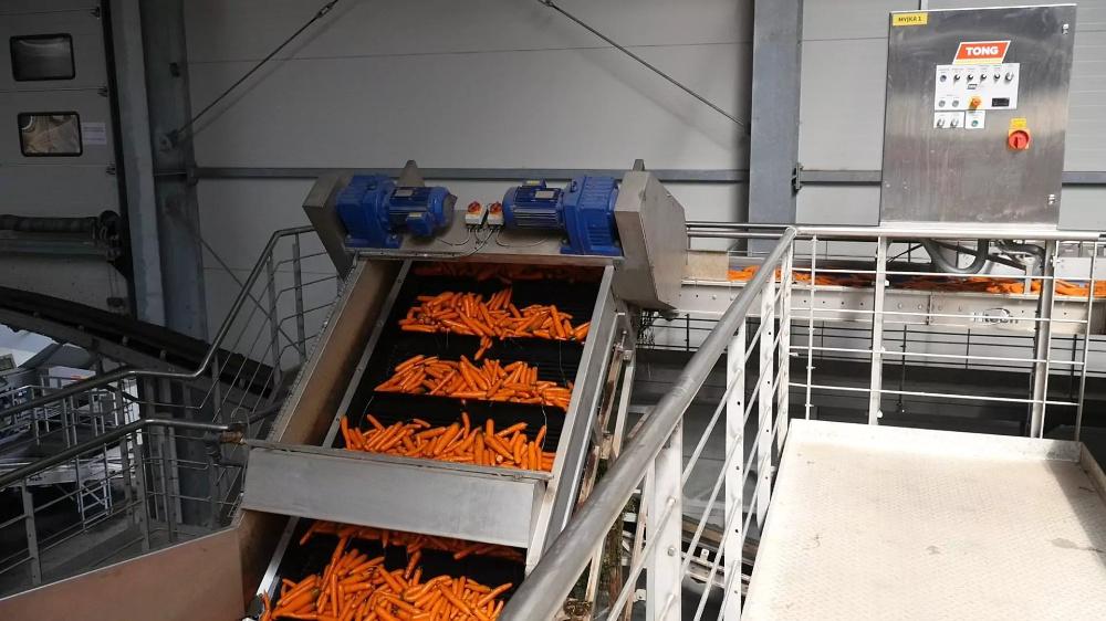 Carrot Processing Line(图1) Carrot Processing Line(图1)