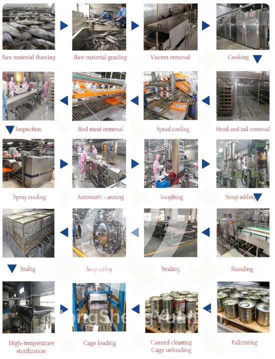 Fish Canned Production Line Equipment Buying Guide: Expert Tips for 2025 Choices(图7) Fish Canned Production Line Equipment Buying Guide: Expert Tips for 2025 Choices(图7)