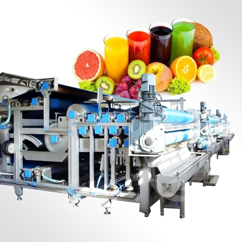 Fruit And Vegetable Canned Production Line