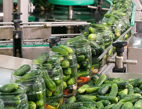 Cucumber Canned Production Line(图1)