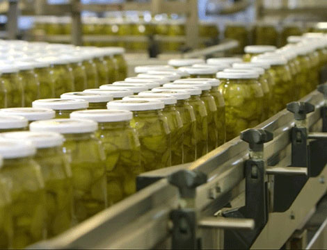 Cucumber Canned Production Line(图2)
