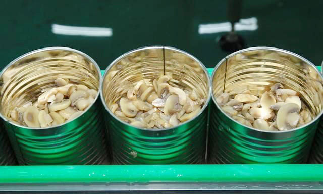 Edible Mushroom Canned Food Production Line(图1)