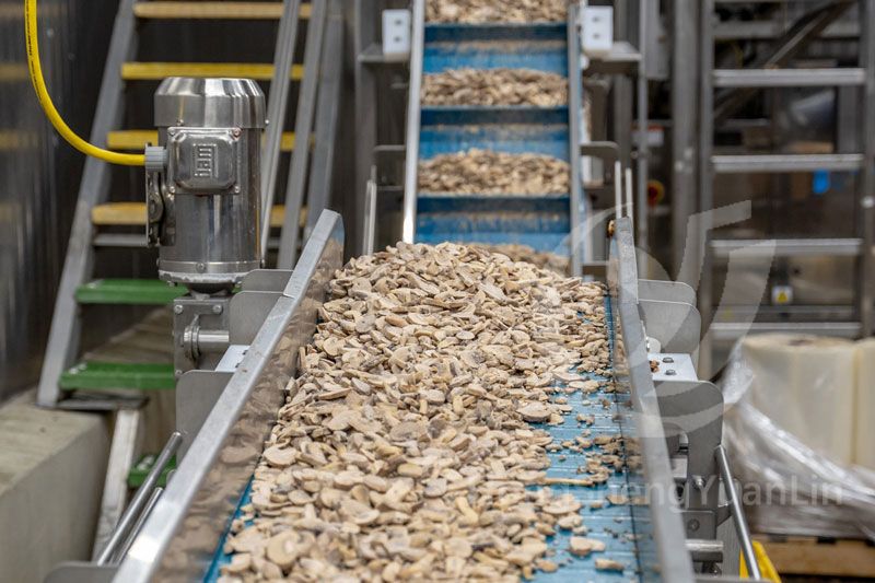 Edible Mushroom Canned Food Production Line(图2)