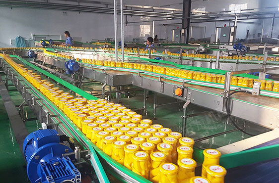 Canned Fruit Production Line Equipment(图1)
