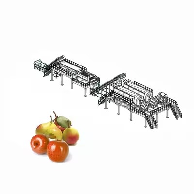 Apple Canning Production Line