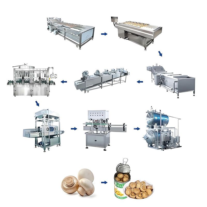 Button Mushroom Canning Production Line