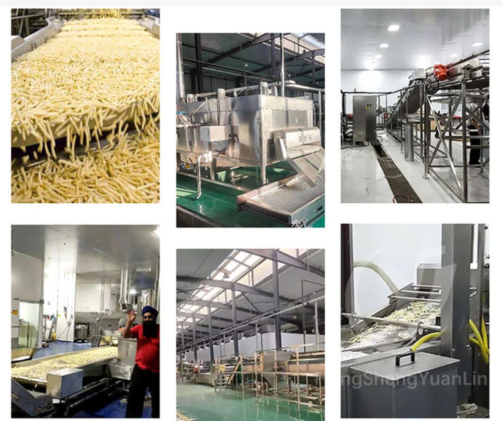 French Fries Production Line(pic2) French Fries Production Line(pic2)