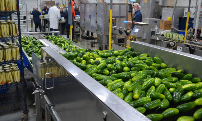 Stop Rust: Pickled Cucumber Production Line Guide(pic1)